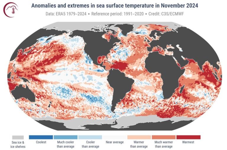 2024 year could be the hottest year on record