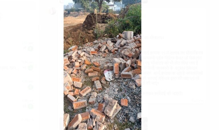 Beautification is being done with stolen stones in byohari