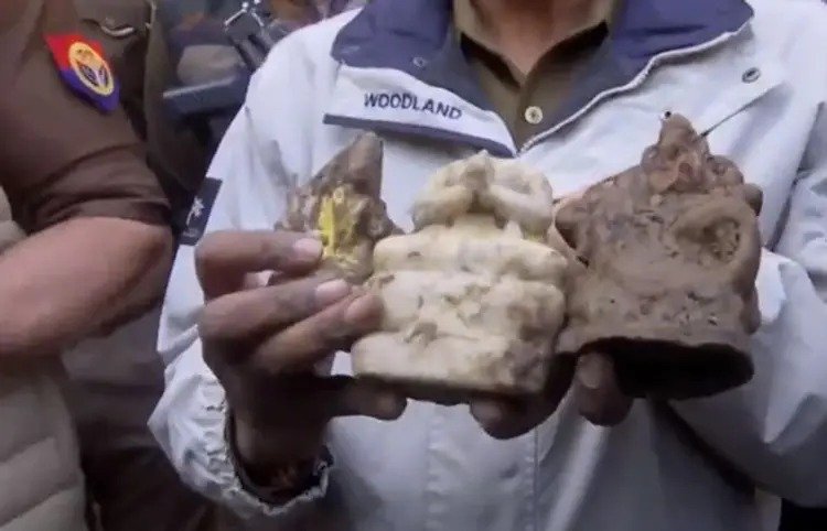 Three idols recovered from well in Sambhal Temple
