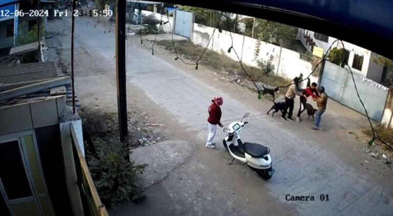 BHOPAL NEWS: राजधानी भोपाल में कुत्तों का आतंक