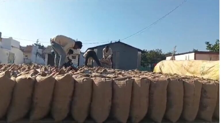 MP KISAN: सिवनी के खवासा में किसानों से हो रही खुली लूट, धान उपार्जन केंद्र पर तोल में हो रहा हेरफेर