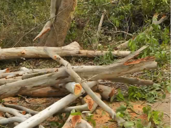 comp-23-2_1735137274