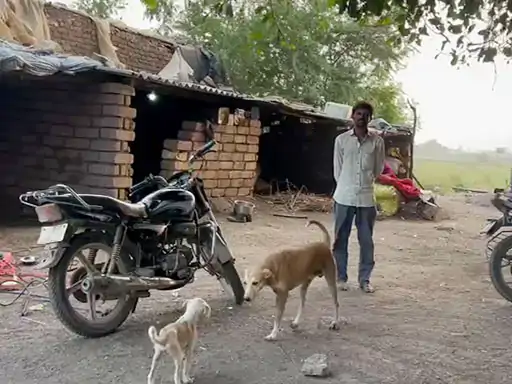 Children builds huge iron cage in amreli