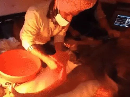 Farmer commits suicide at Shambhu border