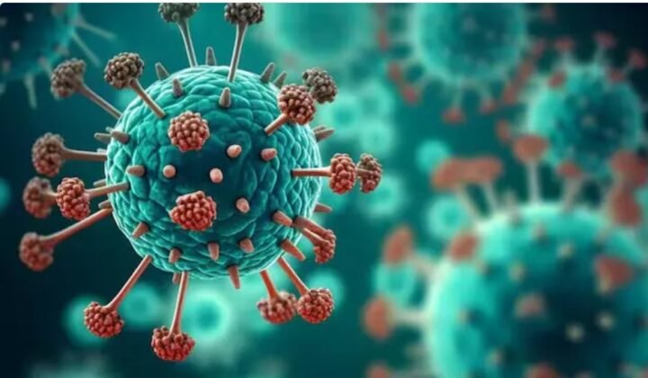 HMPV Already In Circulation, Including In India