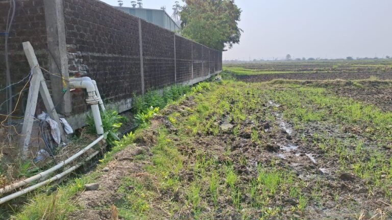 WhatsApp Image 2025-01-13 at 8.42.00 AM (1)