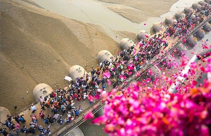  mahakumbh 2025 UP aviation filed fir to delay of flowers raining  