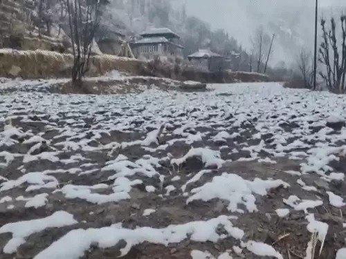 Weather Update mp rajasthan punjab up cold snow