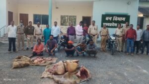 Betul forest vibhag karyvai: