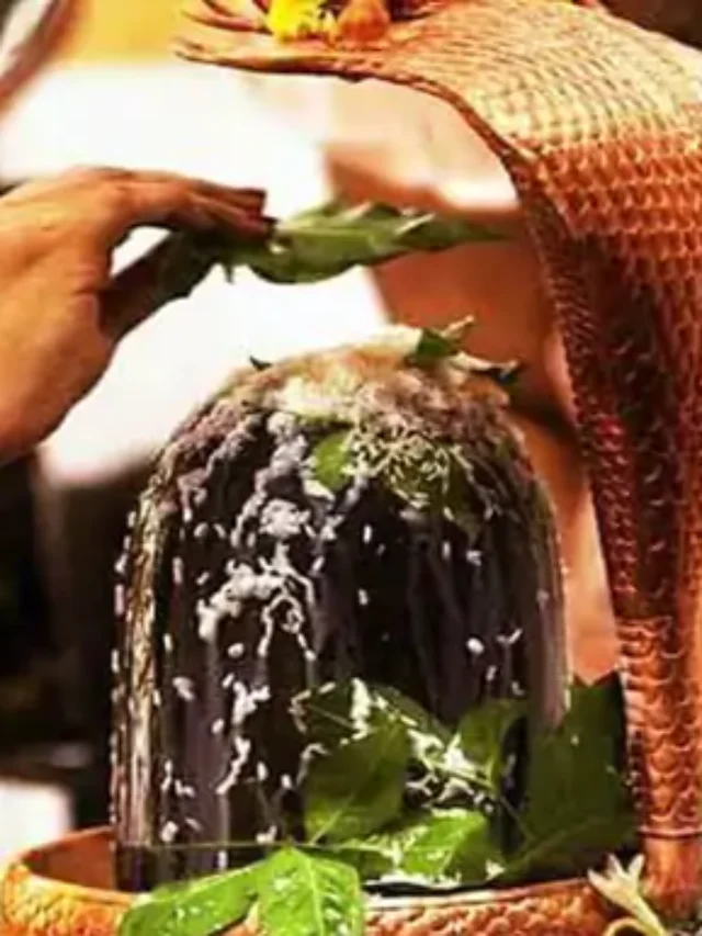 Mahashivratri 2025 Bilvapatra on shivling puja tips