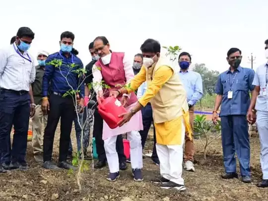 Shivraj Singh paudharopan: