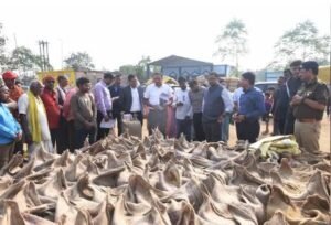 धान घोटाला