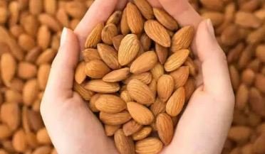 Benefits Of Badam