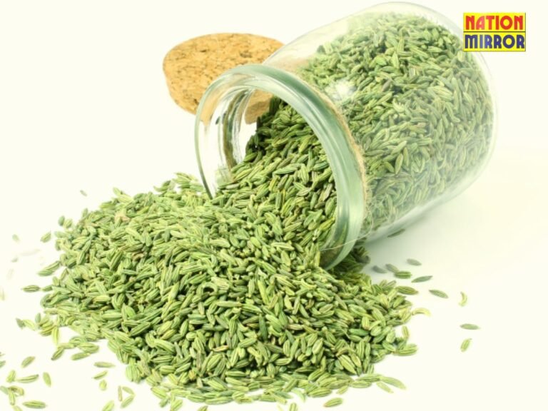 Benefits of Eating Fennel (1)