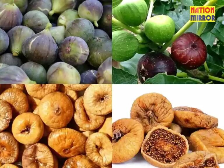 Health Benefits of Figs