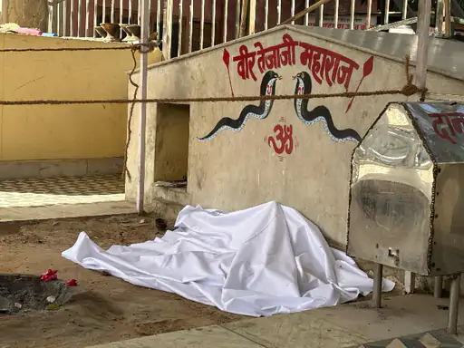 Jaipur Veer Tejaji Temple Idol Vandalised update