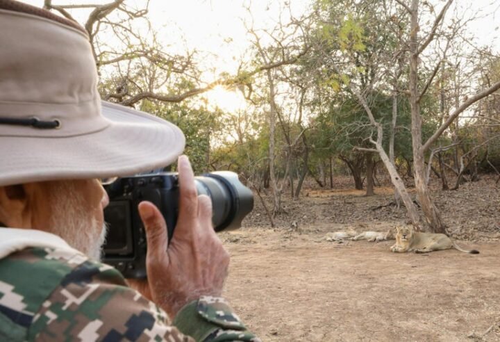 Lion safari, photography and wildlife PM Modi Gir visit 