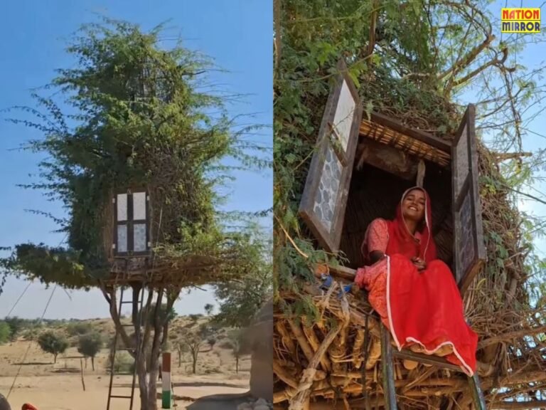 Viral Rajasthan Tree House