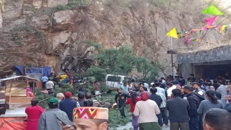  kullu-tourists-killed-storm-tree-fall-himachal-news