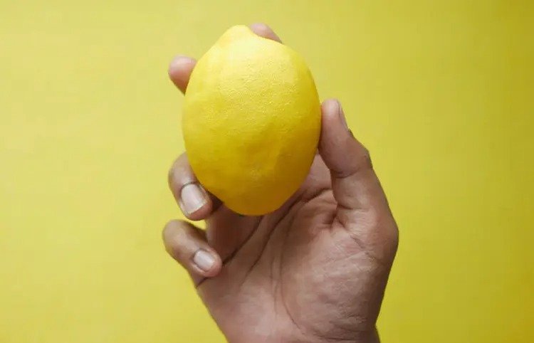 lemon auctioned in 13 thousands used during mahashivratri rituals