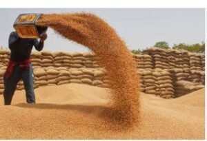 गेहूं खरीद शुरु