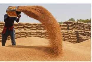 गेहूं खरीद शुरु