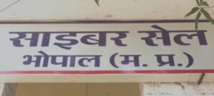 Parvez Hashmi credit card scam: 