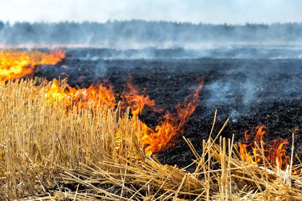 Stubble Burning Bhopal FIR: