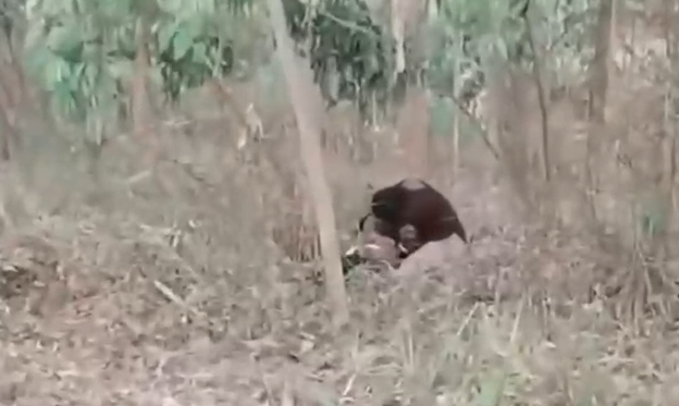 Love Story Saharanpur Muslim Boy: