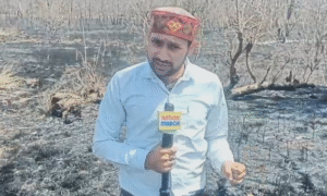 Satwas Forest Fire Dewas: 