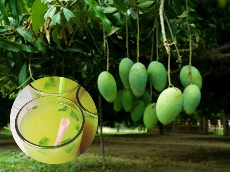 Aam Panna For Summer (1)