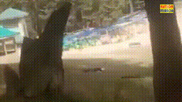 Jammu And Kashmir Terrorist Attack