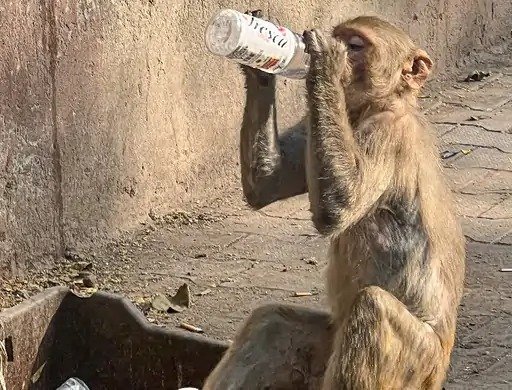 india weather update april 2025