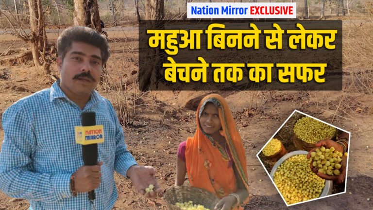 Mahua Collection for Livelihood: