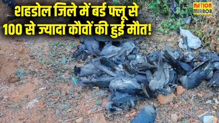 Bird Flu Outbreak in MP: