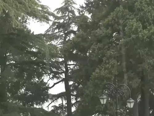 india-weather-alert-heatwave-rain-chandrapur-record