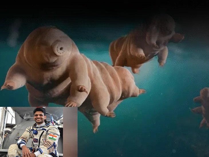 tardigrades indian astronaut space mission