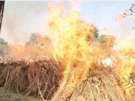 एक साथ जली 8 चिता