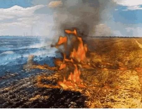 पराली में आग.