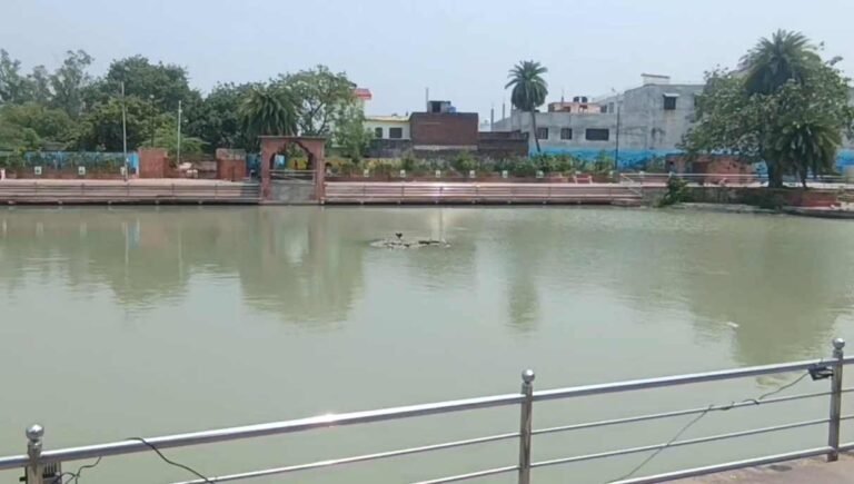 Kanpur Turtle Pond:
