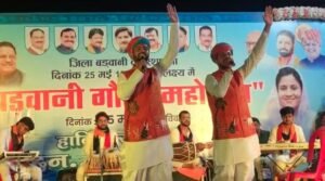 Barwani Foundation Day