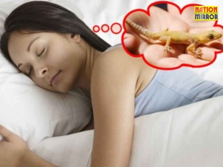 Seeing Lizard in Dream Good or Bad