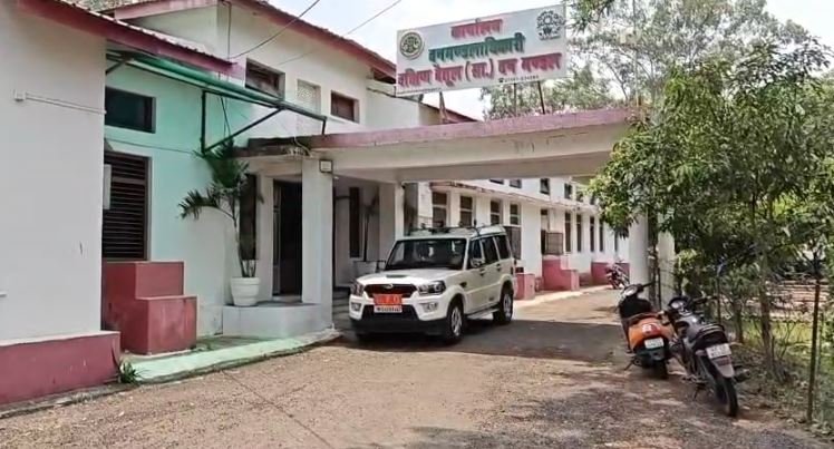 Seludhana Forest News