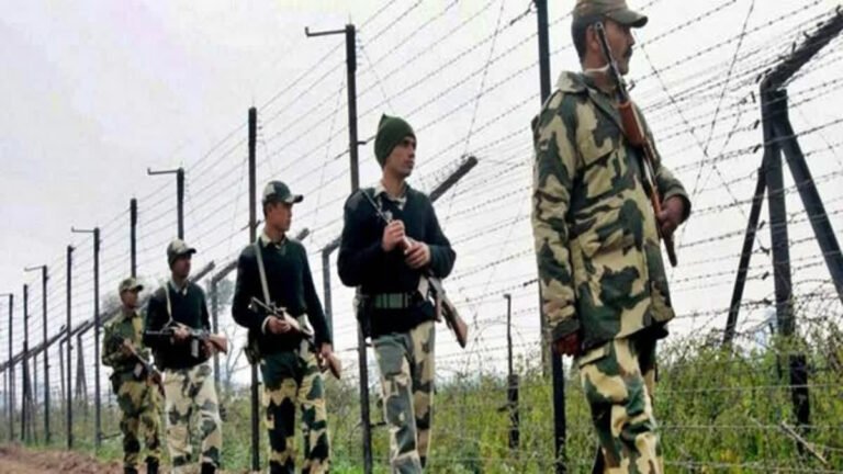 bsf kills pakistani intruder banaskantha