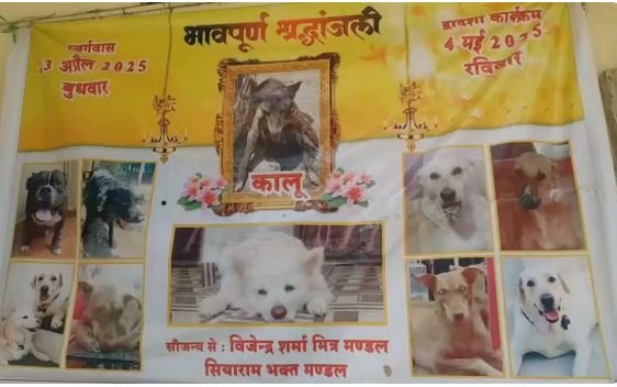 डॉग 'कालू' की तेरहवीं