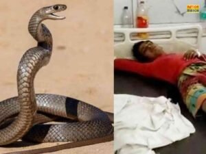 प्राइवेट पार्ट से पेट में घुसा सांप.