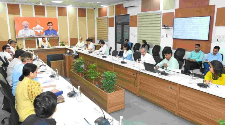 Chief Minister Employment Festival