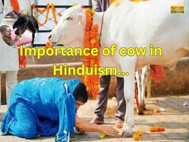 Importance of cow in Hinduism