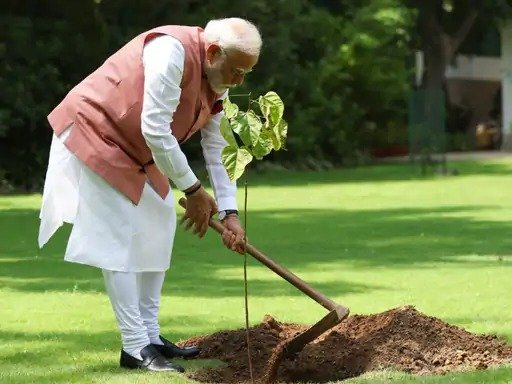 PM Modi Plants Sindoor Plant, Links to Operation Sindoor