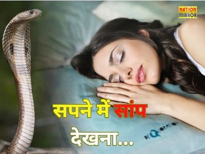 Seeing Snake in Dream Meaning